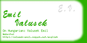emil valusek business card